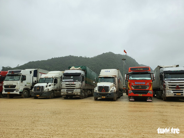Cửa khẩu ùn ứ, Lạng Sơn tạm dừng tiếp nhận xe chở hoa quả tươi xuất khẩu từ 16-2 - Ảnh 1.