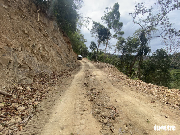Bộ Tổng tham mưu kiểm tra vụ phá rừng đặc dụng làm đường - Ảnh 3.