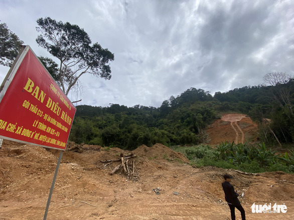 Bộ Tổng tham mưu kiểm tra vụ phá rừng đặc dụng làm đường - Ảnh 2.