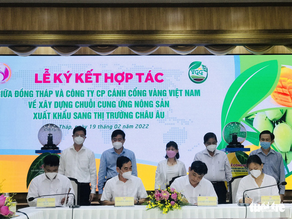 Đồng Tháp xuất khẩu 3 tấn xoài cát chu đầu tiên trong năm 2022 sang thị trường châu Âu - Ảnh 3.