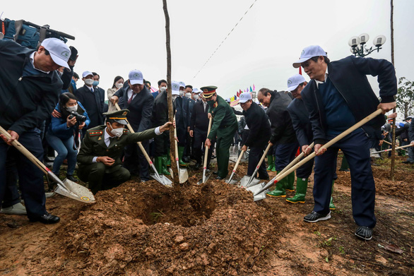 Chủ tịch nước đánh trống phát động Tết trồng cây xuân Nhâm Dần - Ảnh 2.
