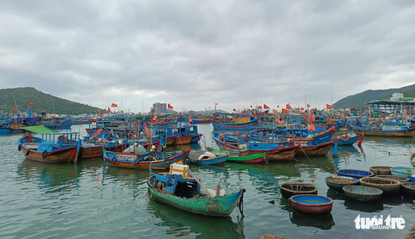 Giá xăng leo thang, hàng ngàn tàu cá phải nằm bờ - Ảnh 3.