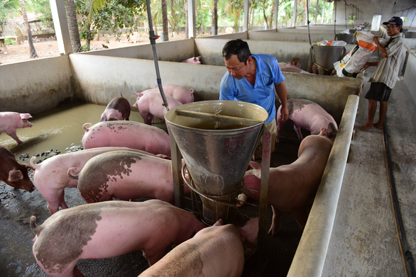 Nông dân lao đao vì giá cả tăng - Ảnh 1.