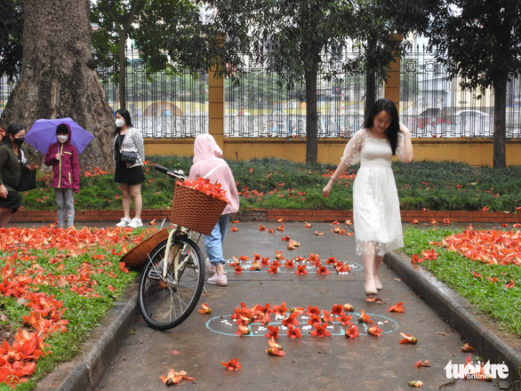 Check-in rice flower season in March next to the oldest rice tree in the capital - Photo 3.