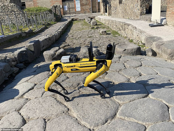 Ý: Chó robot tuần tra an ninh phố cổ thay người - Ảnh 1.