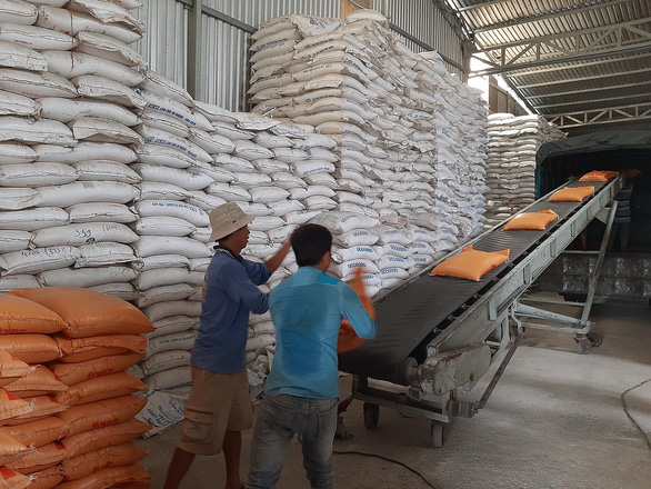 Gạo Việt Nam lên giá nhanh sau khi Ấn Độ cấm xuất gạo - Ảnh 1.