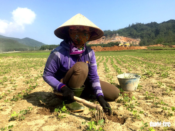 Giá phân bón tăng cao, nông dân gặp khó - Ảnh 1.