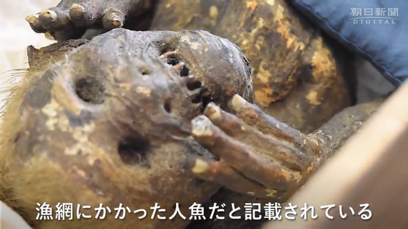 Xác ướp nàng tiên cá 300 năm tuổi ở Nhật là ghép giữa khỉ và cá? - Ảnh 1.