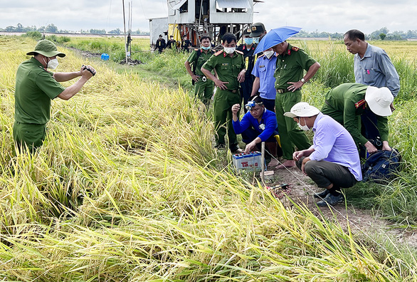 Dùng điện bẫy chuột bảo vệ lúa gây chết người - Ảnh 1.