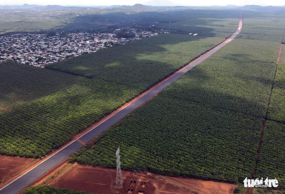 Cao tốc Dầu Giây - Phan Thiết dần lộ diện - Ảnh 3.