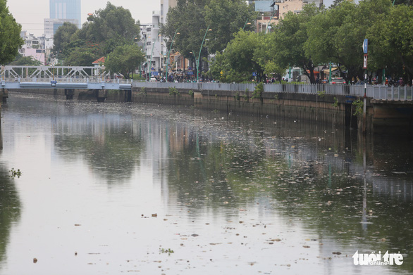 Xuyệt cá náo loạn, rác trôi thành dòng trên kênh Nhiêu Lộc - Thị Nghè - Ảnh 4.