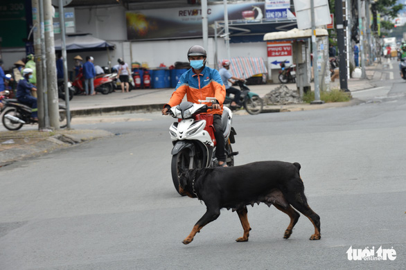 Sáng mở cửa đã thấy anh bãi - Ảnh 1.