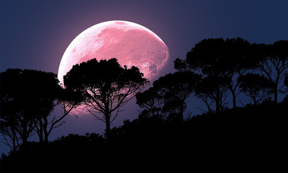 The amazing 'Pink Moon' in April - Photo 1.