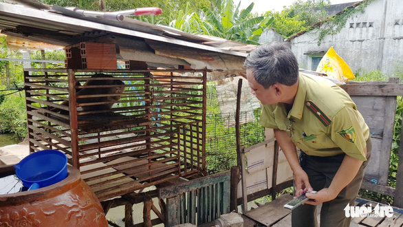 Kiểm lâm TP.HCM tiếp nhận khỉ đuôi lợn cắn chủ nhân ở huyện Bình Chánh - Ảnh 1.