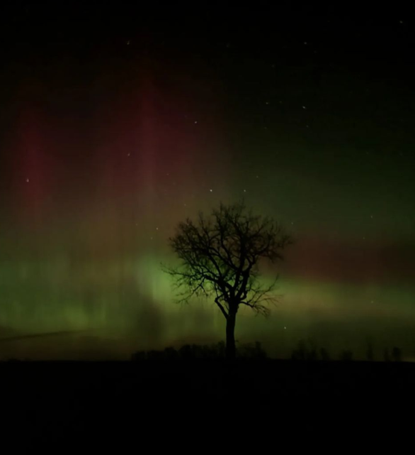 Beautiful light strips in the aurora 2022 season - Photo 2.