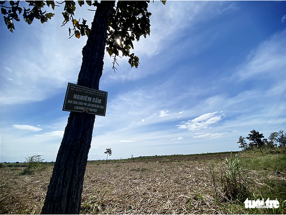 Lại thêm hàng chục hecta rừng bị phá ở Đắk Lắk - Ảnh 2.