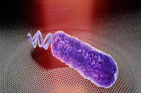 Phát hiện mới: Vi khuẩn phát ra âm thanh, chỉ tắt tiếng khi gặp kháng sinh - Ảnh 1.