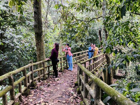 On holiday, return to Cuc Phuong to check-in butterfly season - Photo 2.