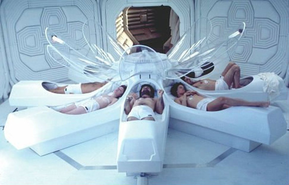 Can humans hibernate to travel in space?  - Photo 2.
