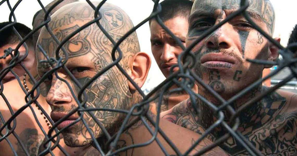 Part 3: The US police cut off the MS-13 octopus's trunk - Photo 1.