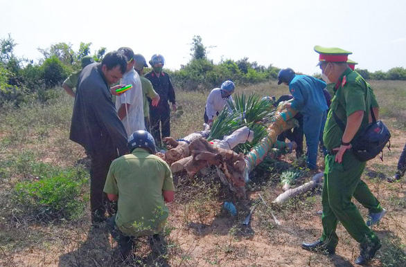 Một viên chức ban quản lý rừng bị nhóm người đánh trọng thương - Ảnh 1.