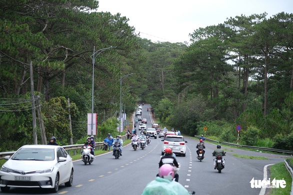 Trời mát, đường thông, du khách lai rai đến Đà Lạt - Ảnh 1. Trời mát, đường thông, du khách lai rai đến Đà Lạt - Ảnh 1.