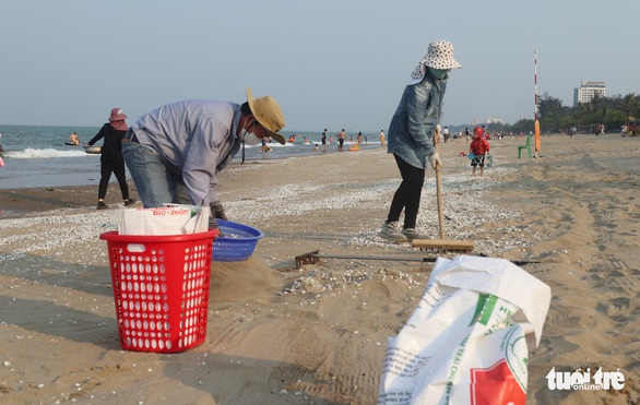 Cửa Lò khai màn mùa du lịch sớm gần một tháng - Ảnh 4. Cửa Lò khai màn mùa du lịch sớm gần một tháng - Ảnh 4.