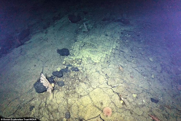 Detecting a strange brick road on the bottom of the Pacific Ocean - Photo 4.