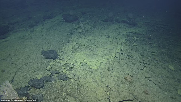 Detecting a strange brick road on the bottom of the Pacific Ocean - Photo 5.