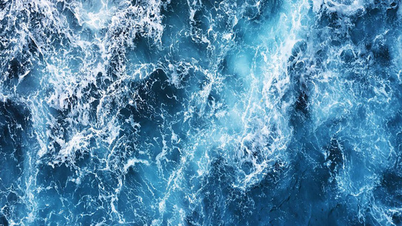 Các nhà khoa học cảnh báo đại dương đang bắt đầu mất trí nhớ - Ảnh 1.