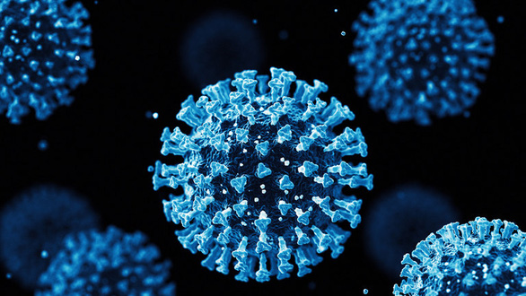 Các nhà khoa học Bỉ khám phá ra cách ngăn ngừa virus SARS-CoV-2 - Ảnh 1.