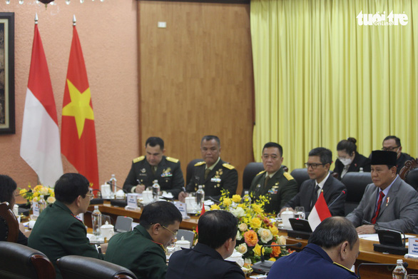 Indonesian Defense Minister pays an official visit to Vietnam - Photo 2.