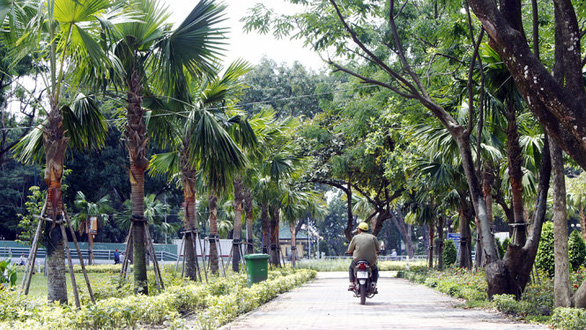 TP.HCM xây dựng tối thiểu 10ha công viên công cộng trong năm 2022 - Ảnh 1.