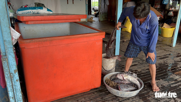 Trên 200 tấn cá chết ở làng bè Châu Đốc: vẫn chưa tìm ra nguyên nhân - Ảnh 1.