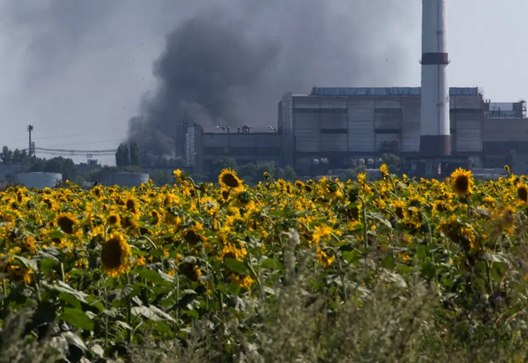 The war in Ukraine makes Europe tense about cooking oil - Photo 1.