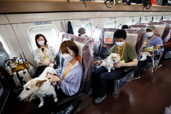 Thí điểm toa tàu du lịch dành cho thú cưng tại Nhật Bản - Ảnh 1.