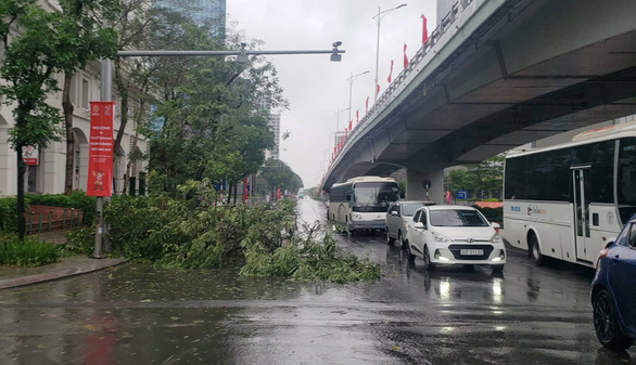 Tin sáng 25-5: Hải sản đồng loạt tăng giá, - Ảnh 4.