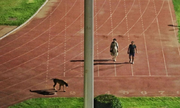 Indian officials kicked athletes out of the training ground to make room to walk the dogs - Photo 1.