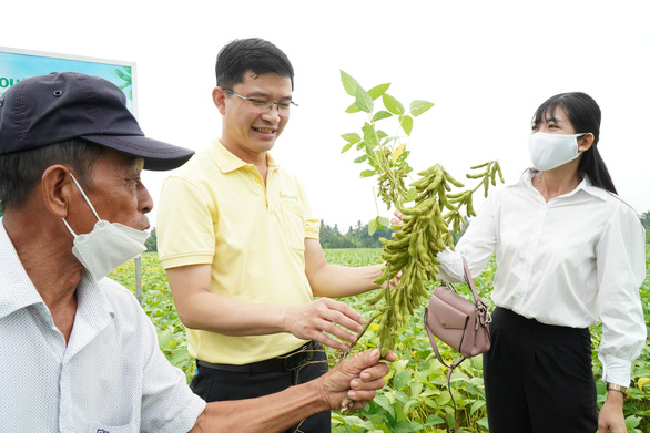 Liên kết sản xuất đậu nành giống Vinasoy 02-NS năng suất cao, tăng hiệu quả kinh tế - Ảnh 1.