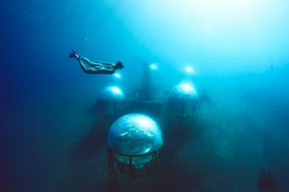 Scientists bring vegetables to grow on the seabed - Photo 3.