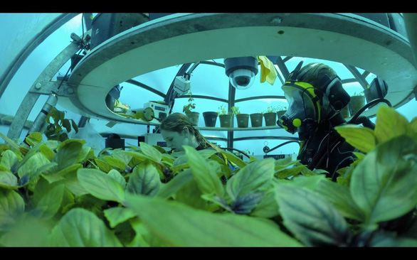 Scientists bring vegetables to plant on the seabed - Photo 7.