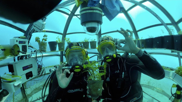 Scientists bring vegetables to plant on the seabed - Photo 1.