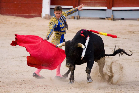 Tòa án Mexico phán quyết đình chỉ tổ chức đấu bò tót tại đấu trường lớn nhất thế giới - Ảnh 1.