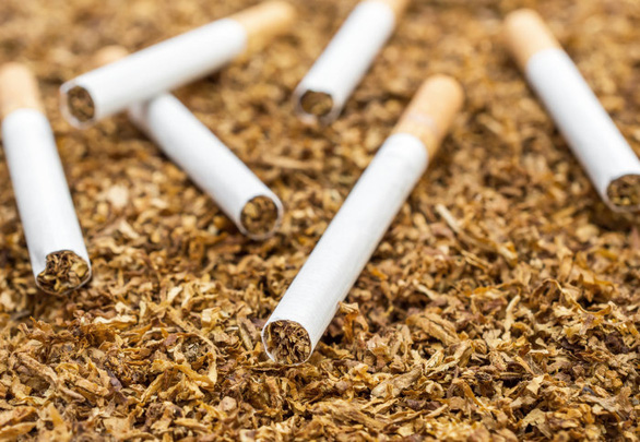 WHO: Ngành công nghiệp thuốc lá gây ô nhiễm khủng khiếp mà ít người biết - Ảnh 1.