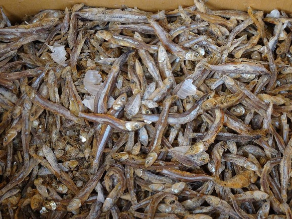 Tìm thấy hạt vi nhựa trong cá khô ở nhiều nước châu Á - Ảnh 1.
