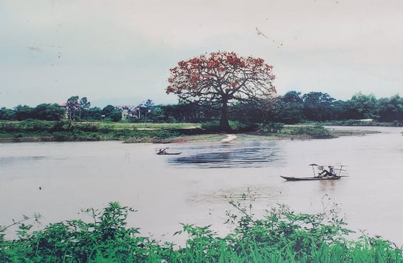 Cội gạo thiêng bên dòng Như Nguyệt xưa - Ảnh 2.