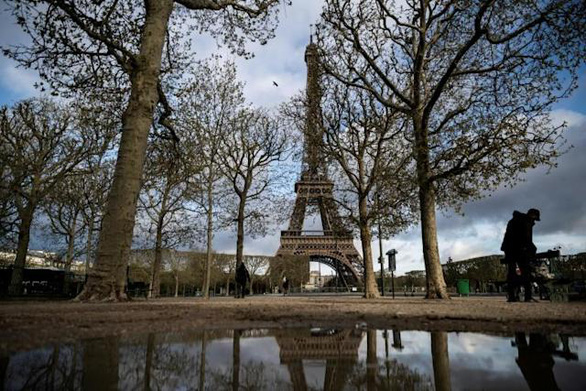 Paris City Hall cut 42 trees, including two hundred-year-old trees, public opinion strongly reacts - Photo 1.