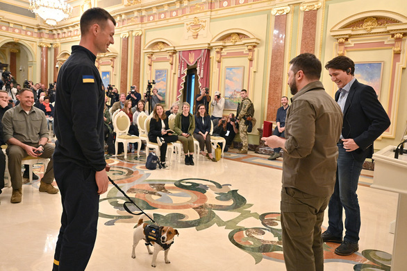 Tổng thống Ukraine trao huy chương cho chó dò mìn - Ảnh 1.