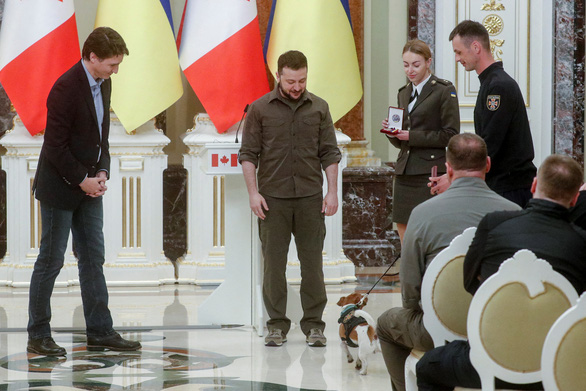 Tổng thống Ukraine trao huy chương cho chó dò mìn - Ảnh 3.