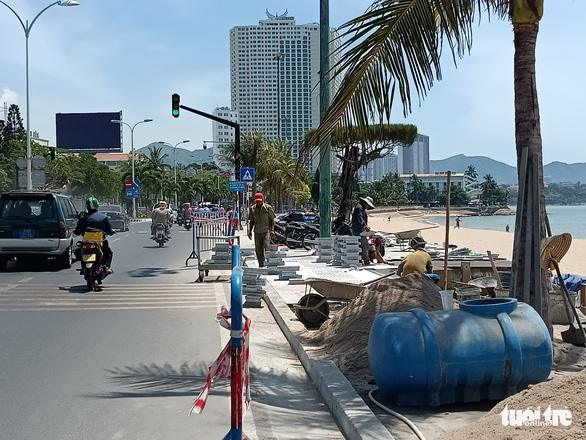 Hàng dừa ven đường biển Nha Trang bị đốn hạ, chính quyền nói gì? - Ảnh 4.